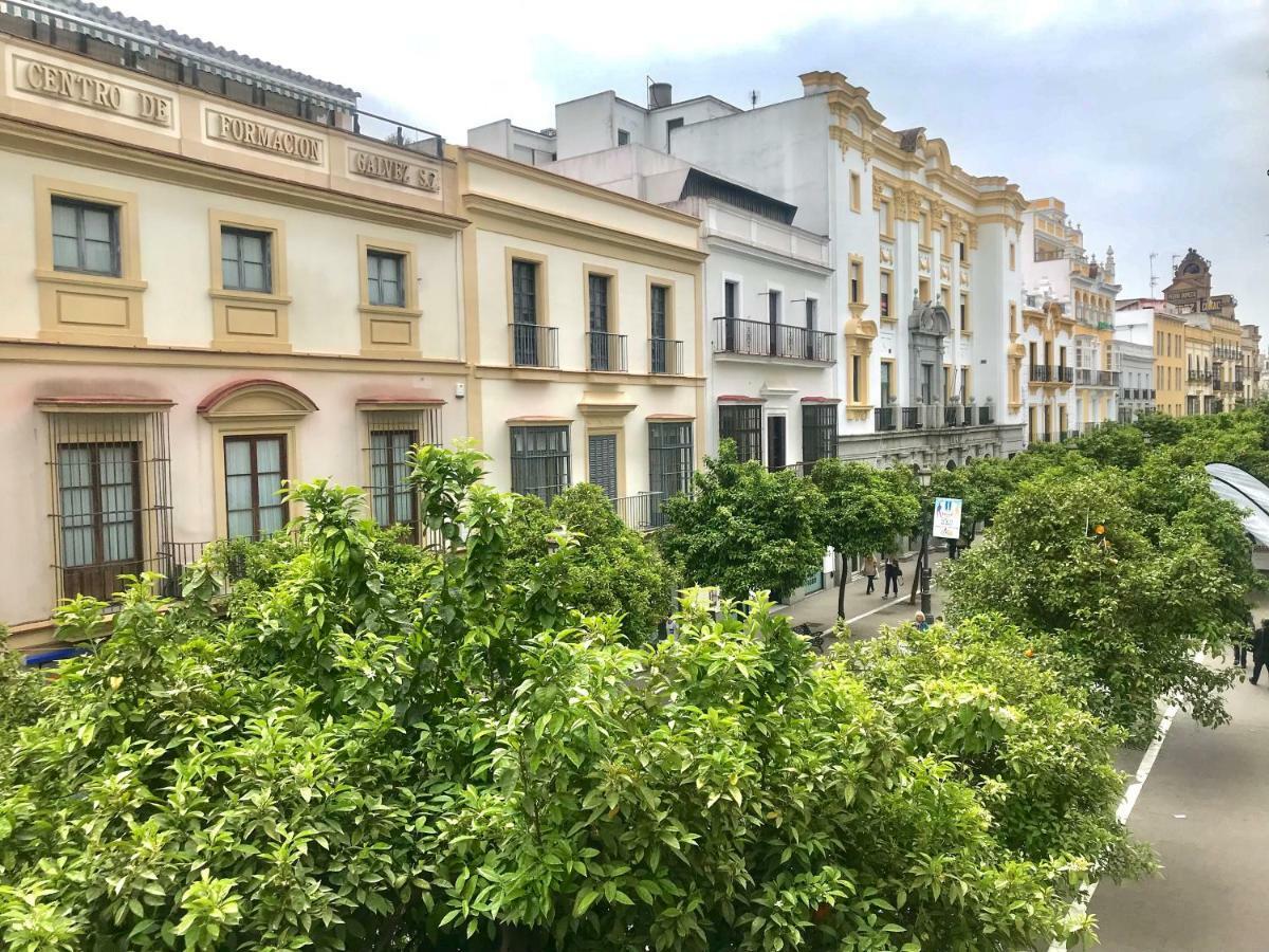 Apartamento Centro De Jerez Херес-де-ла-Фронтера